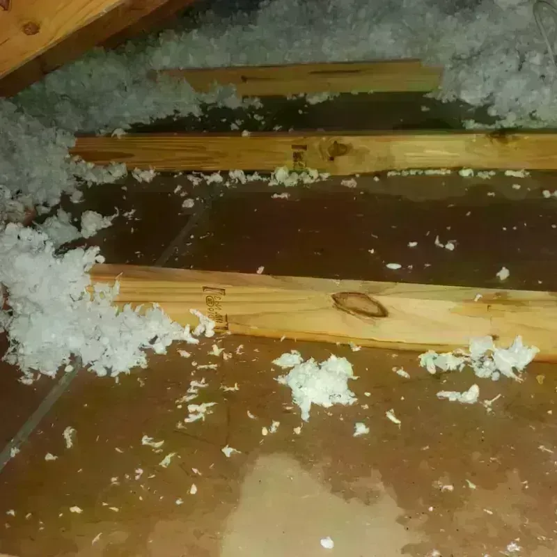 Attic Water Damage in Clyde Hill, WA